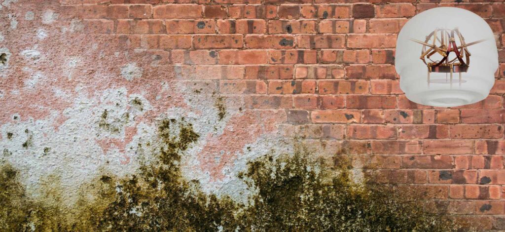 Mur extérieur humide