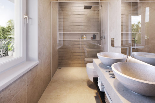 Nyon VD – Magnifique attique proche du centre-ville à vendre