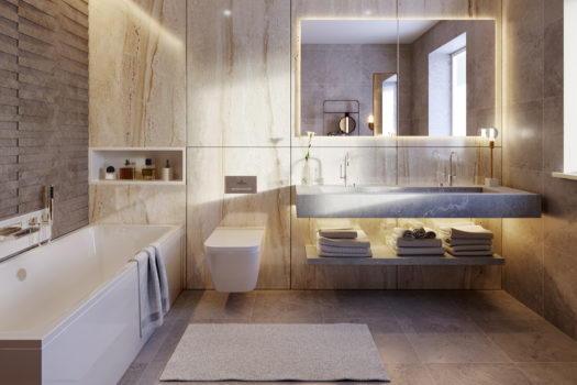 Nyon VD – Superbe attique sur plan à vendre