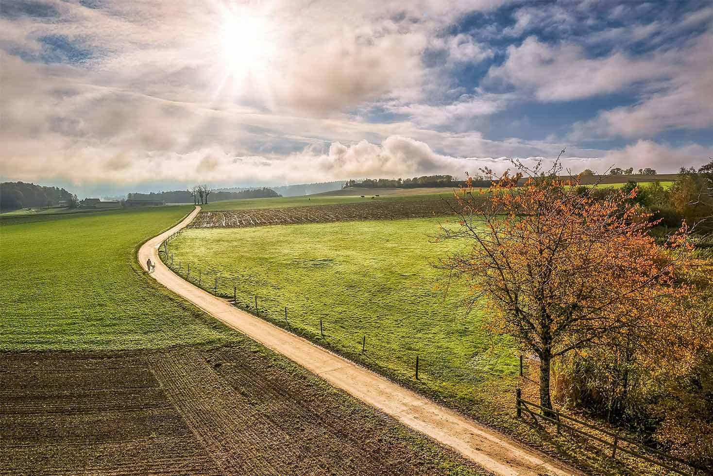 Beaux paysages à Nyon