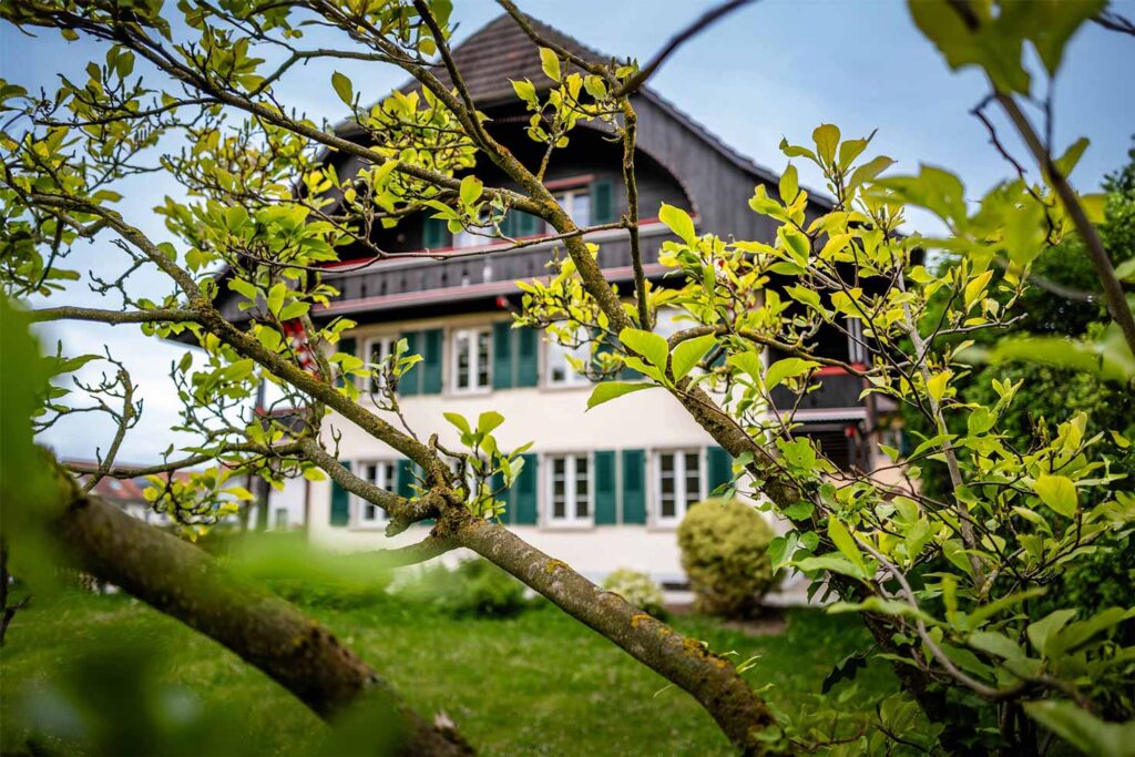 Maison en arriere plan d'un arbre