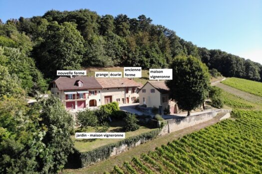 1184 Luins – Domaine viticole avec forêt, vue imprenable lac