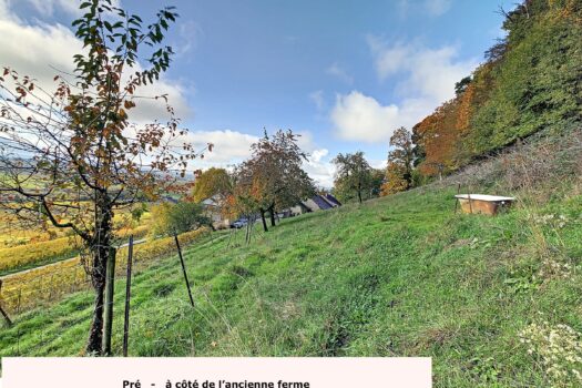 1184 Luins – Domaine viticole avec forêt, vue imprenable lac