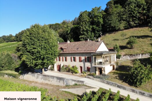 1184 Luins – Domaine viticole avec forêt, vue imprenable lac