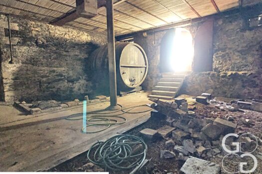 1184 Luins – Domaine viticole avec forêt, vue imprenable lac